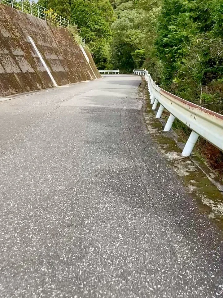 Japan - 1/2
We almost didn&rsquo;t. Our second painter left us mid-summer. We had been planning the trip for a while but it almost felt like too much. We love our work here but it&rsquo;s not Japan. You know what is? Japan. More than we could have kn