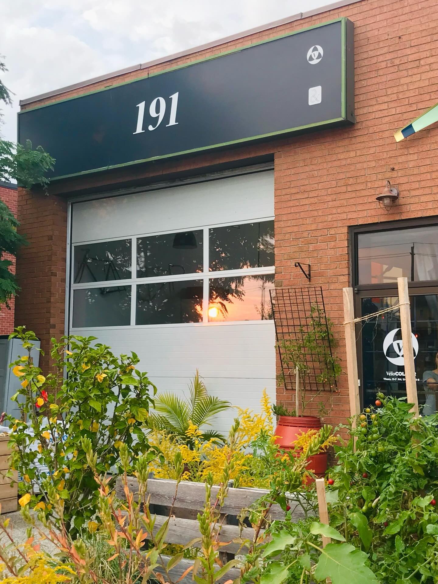 What a beautiful year it has been.

Who would have thought that governments around the world would start to see the shared benefits of working together?

Here in Canada, it&rsquo;s finally been understood that a universal basic income is far more aff