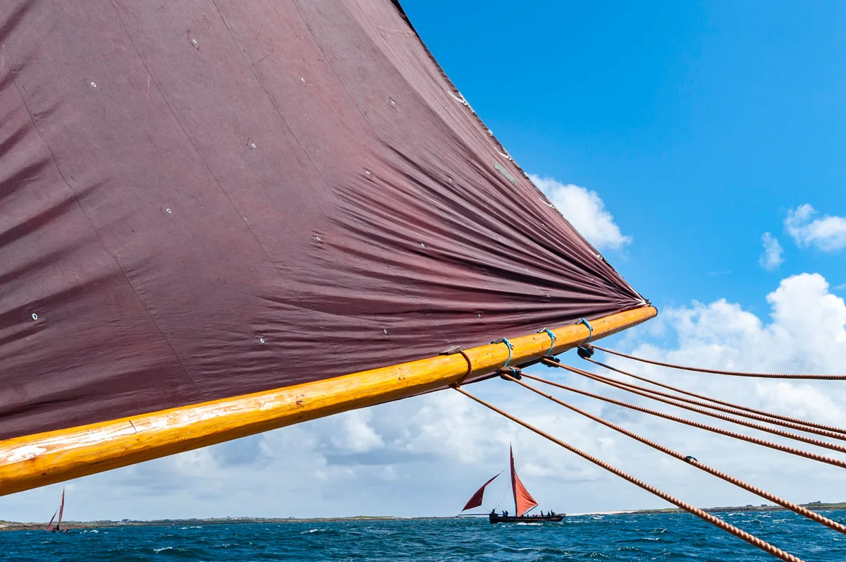 GalwayHookers-15.jpg