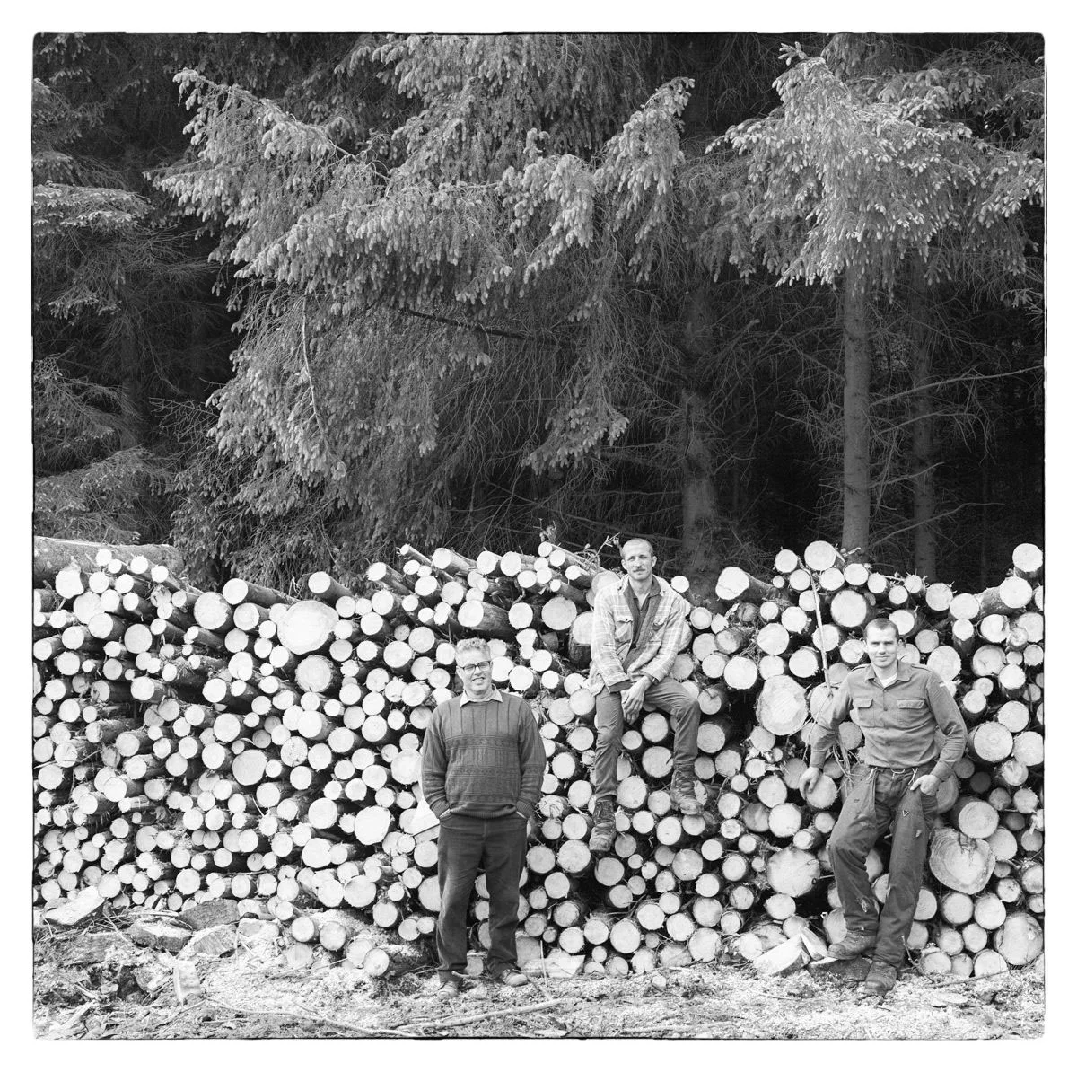 Joe, Ian & Neil Shuttleworth, Foresters