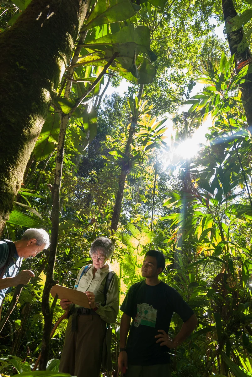 Earthwatch, Rainforest Expedition, Peru