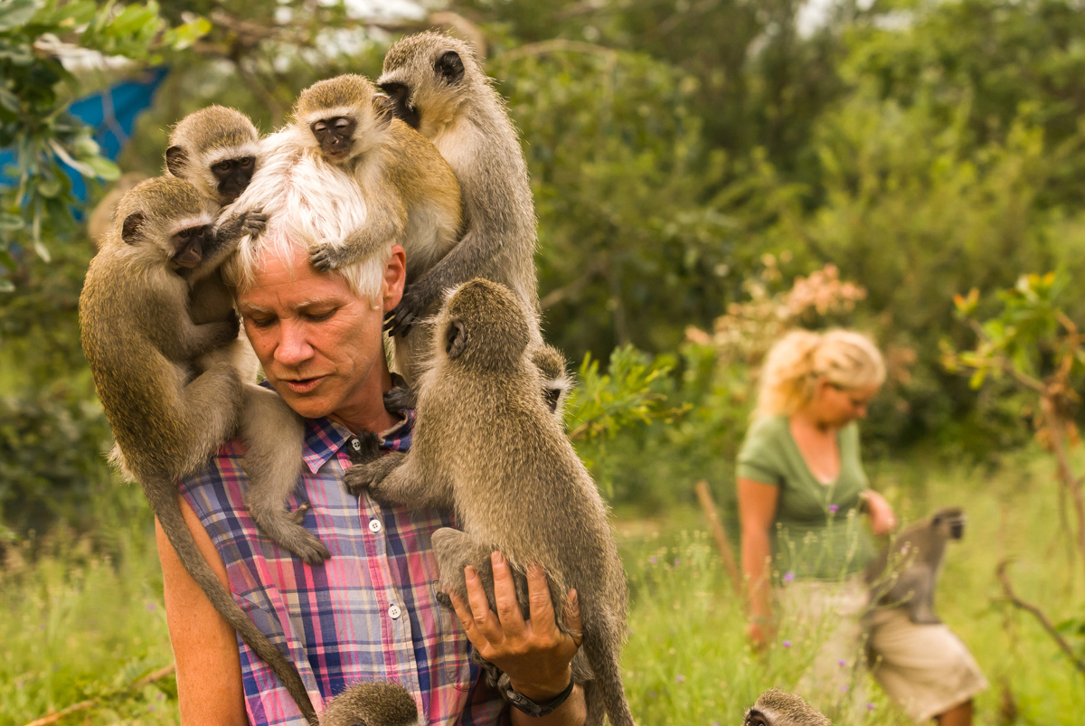 i to i, Vervet monkey Foundation, South Africa