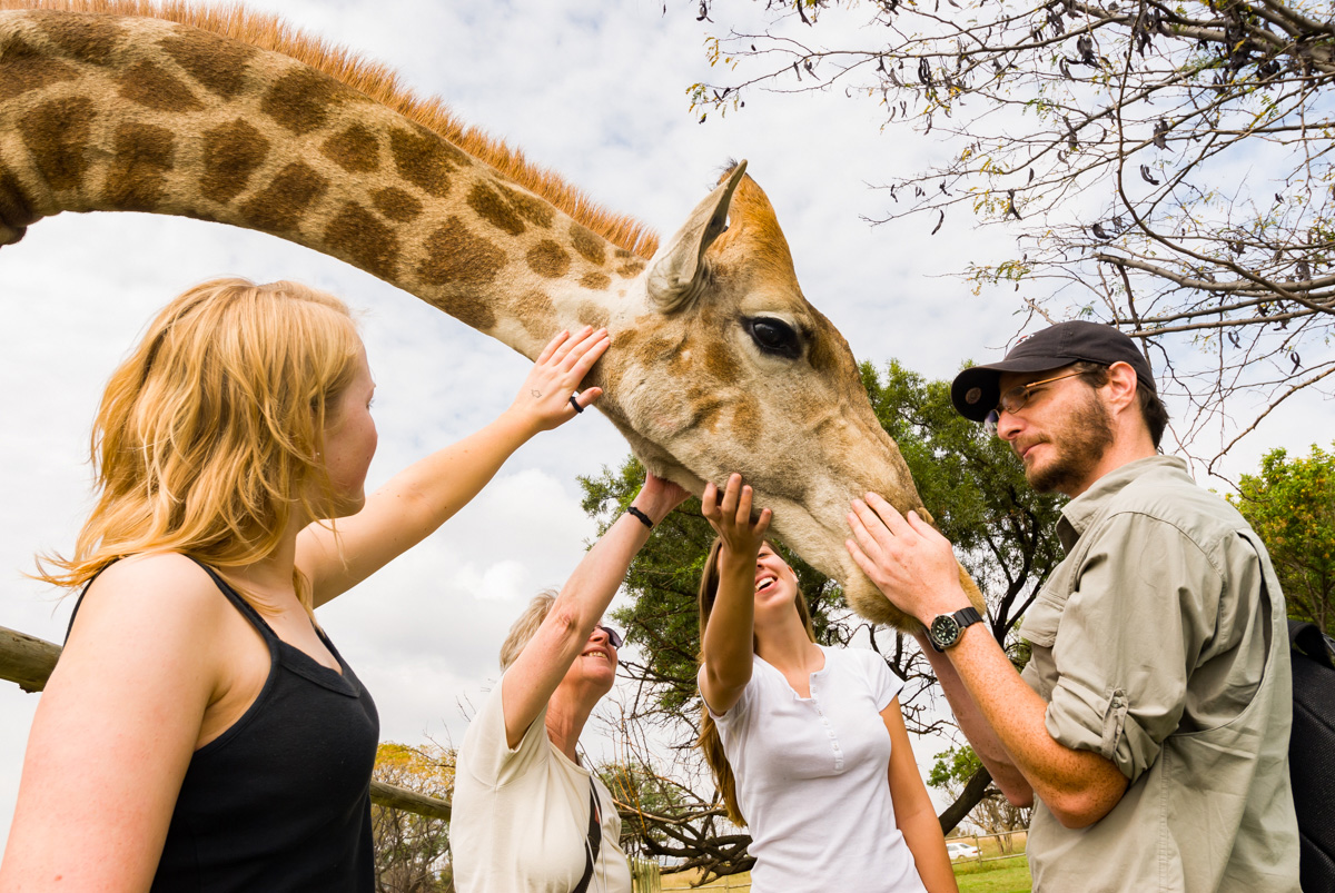 i to i, Wildlife conservation, South Africa