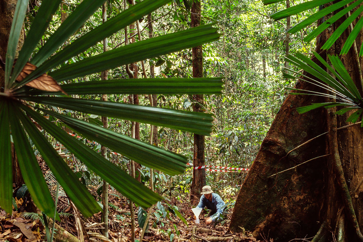 Royal Geographical Society, Rainforest Science, Brunei