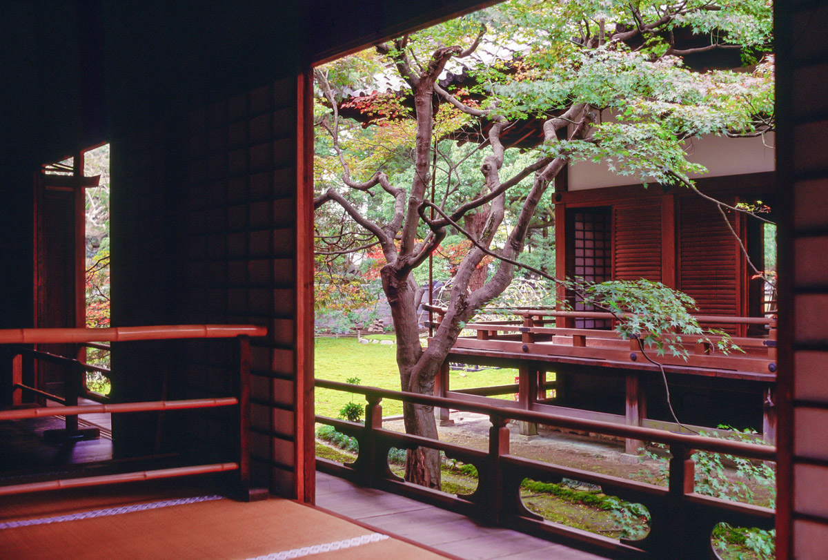 Follow me, Follow you "Wandering down a hidden ginnel in the heart of Gion, Kyoto’s revered geisha district, my head is still spinning from daily doses of a samurai soap opera I have become mildly obsessed with .............." Download a PDF