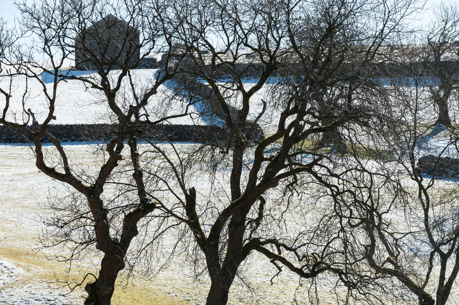 Field barn in winter, Goredale