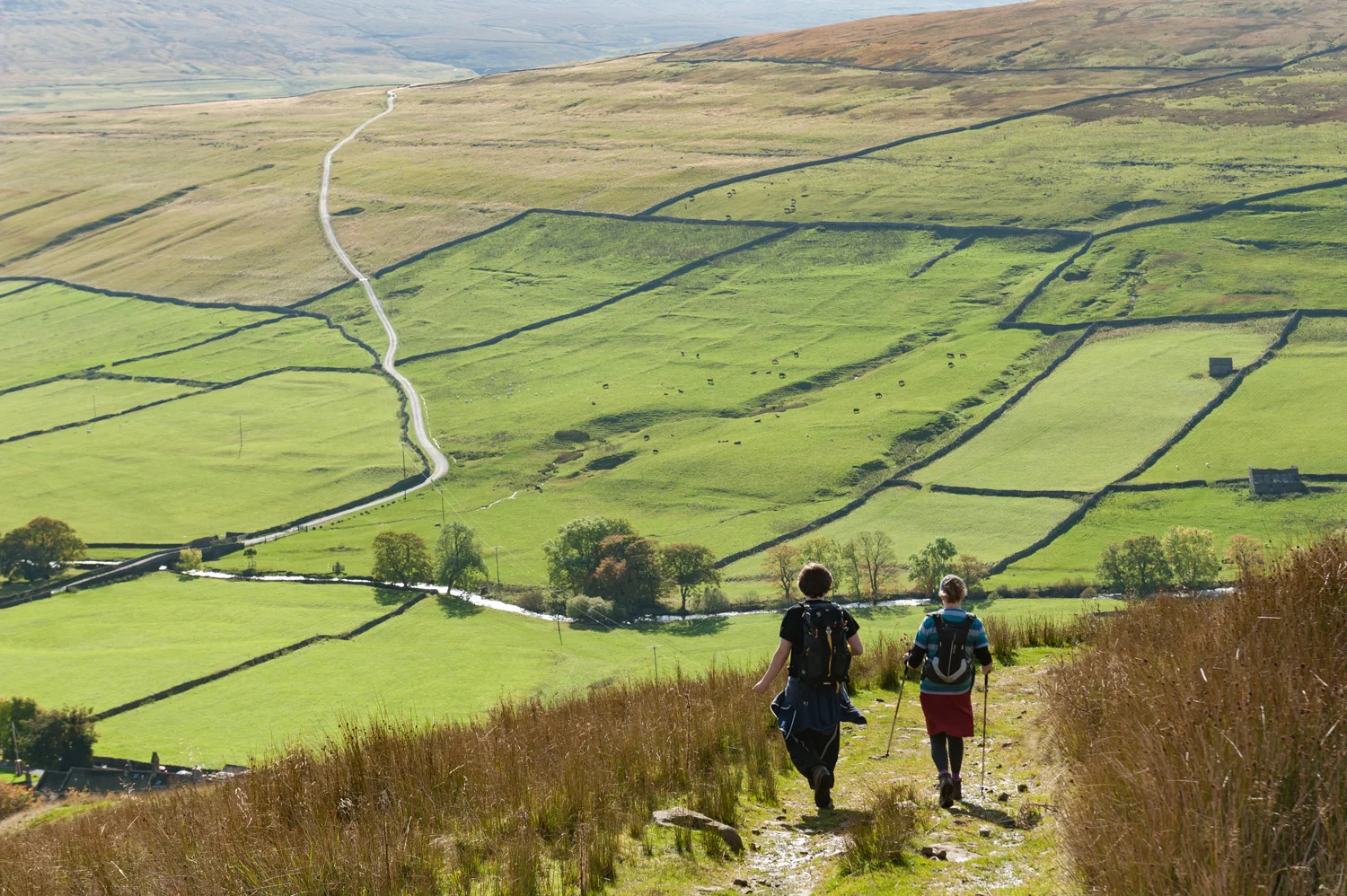 Walking in Littondale