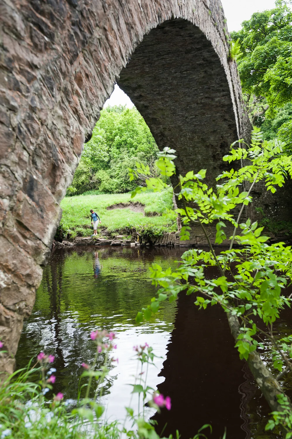 Ivelet packhorse bridge, Swaledale