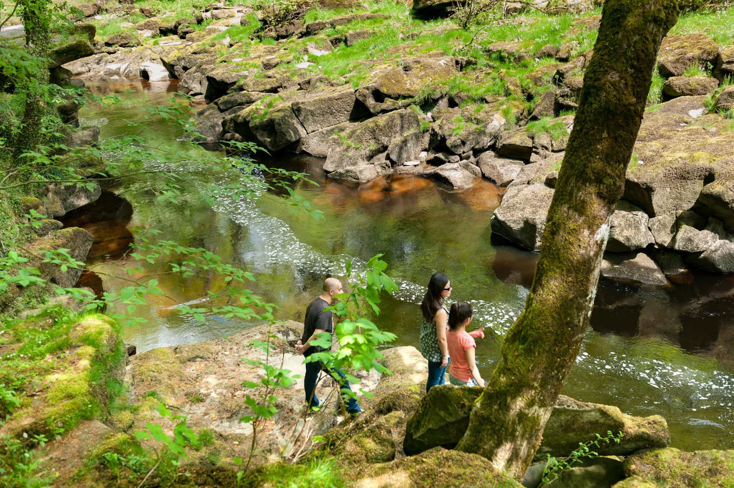 River Wharfe, Bolton Abbey