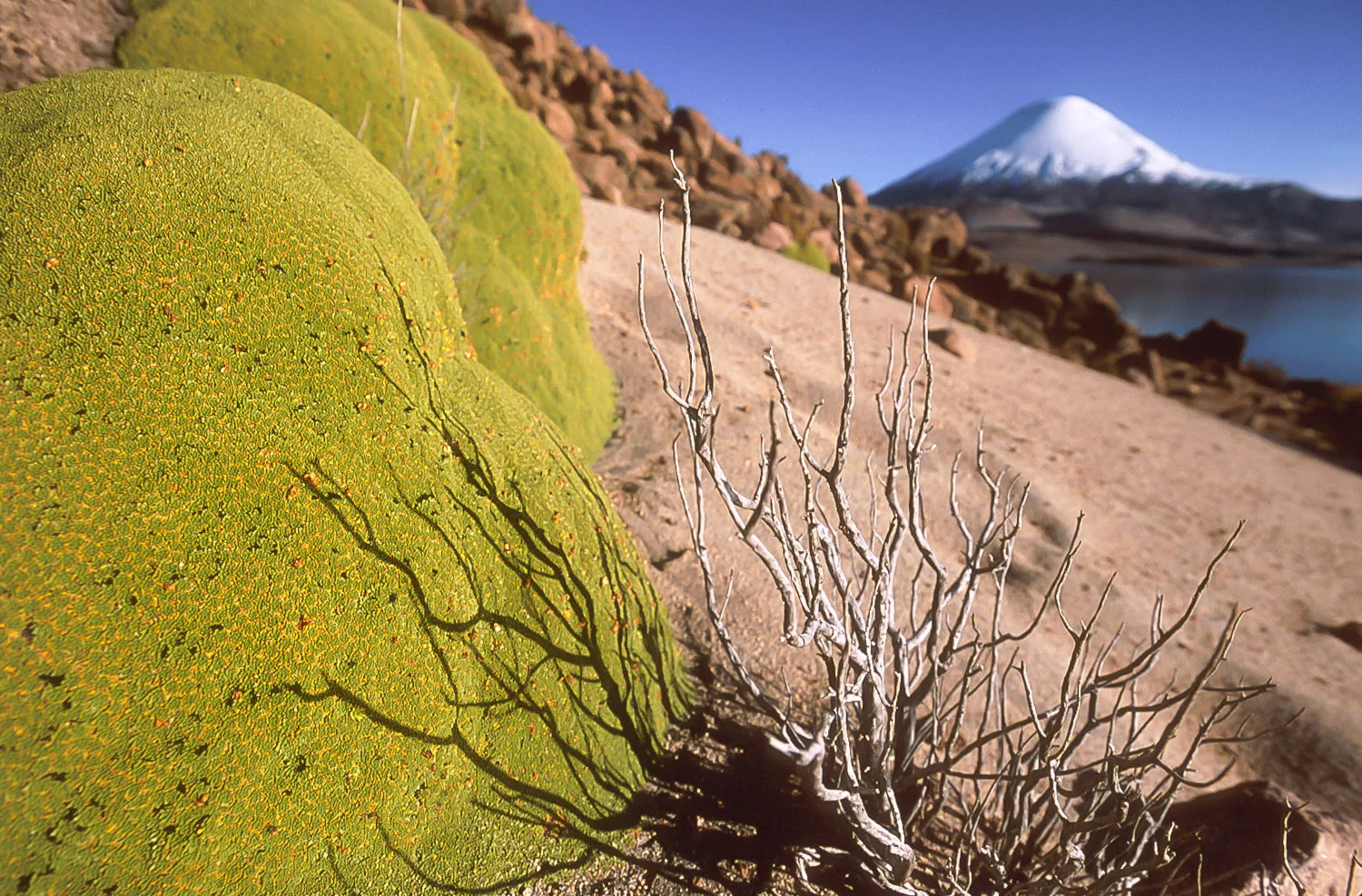 sqsp-chile-neruda-20.jpg