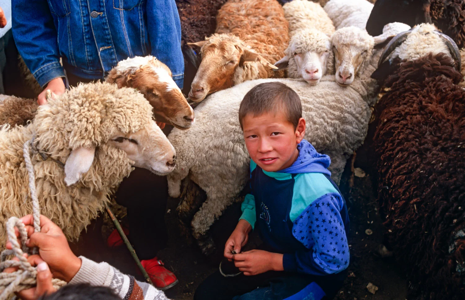 Karakol Livestock market, Kyrgyzstan