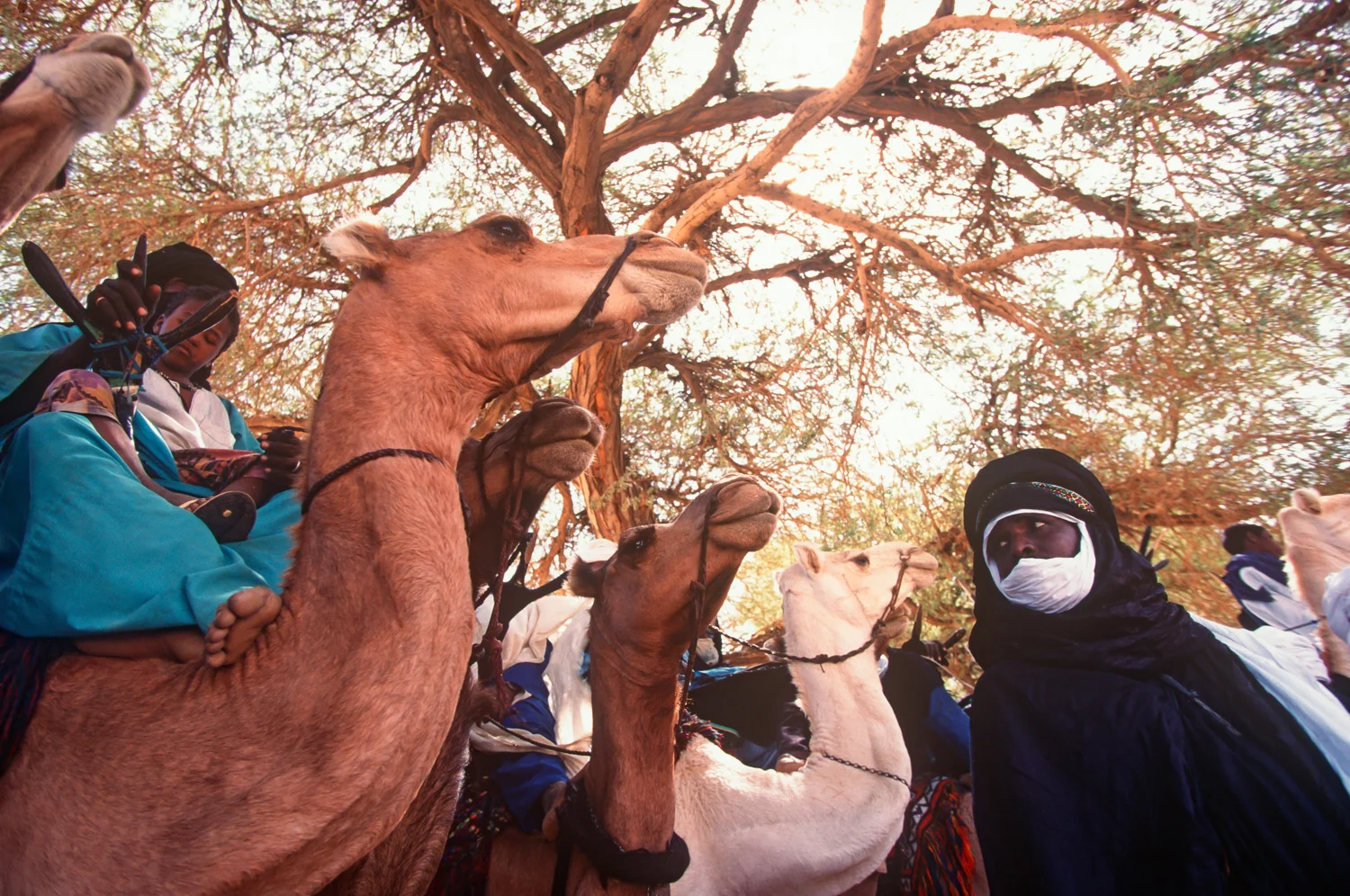 sqsp-Niger-10.jpg