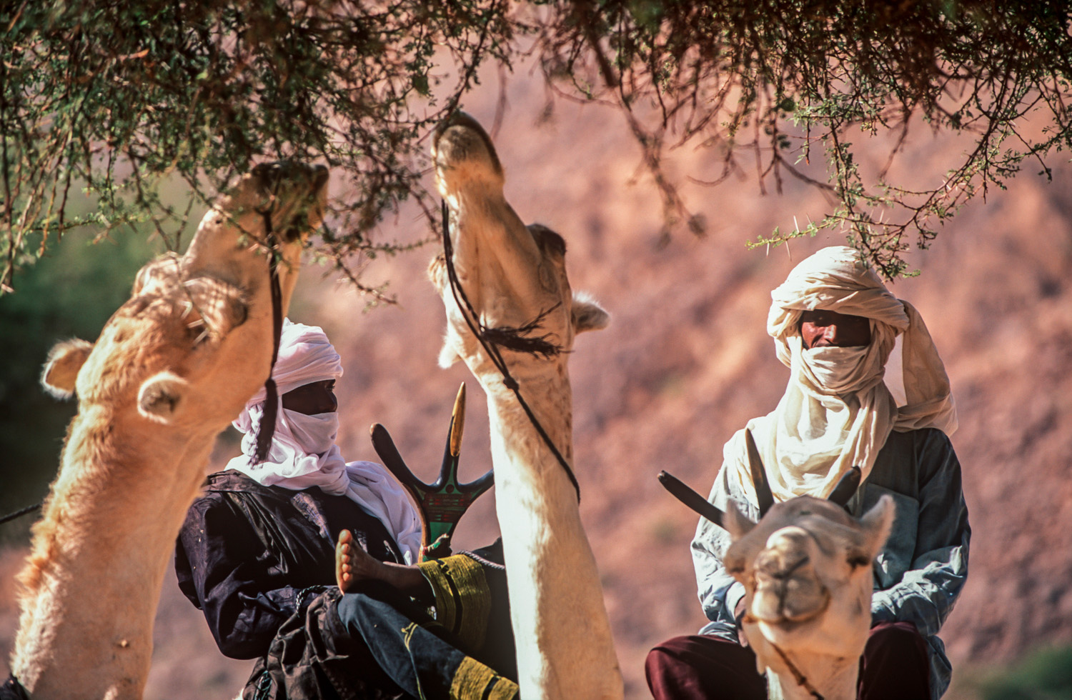 sqsp-Niger-12.jpg