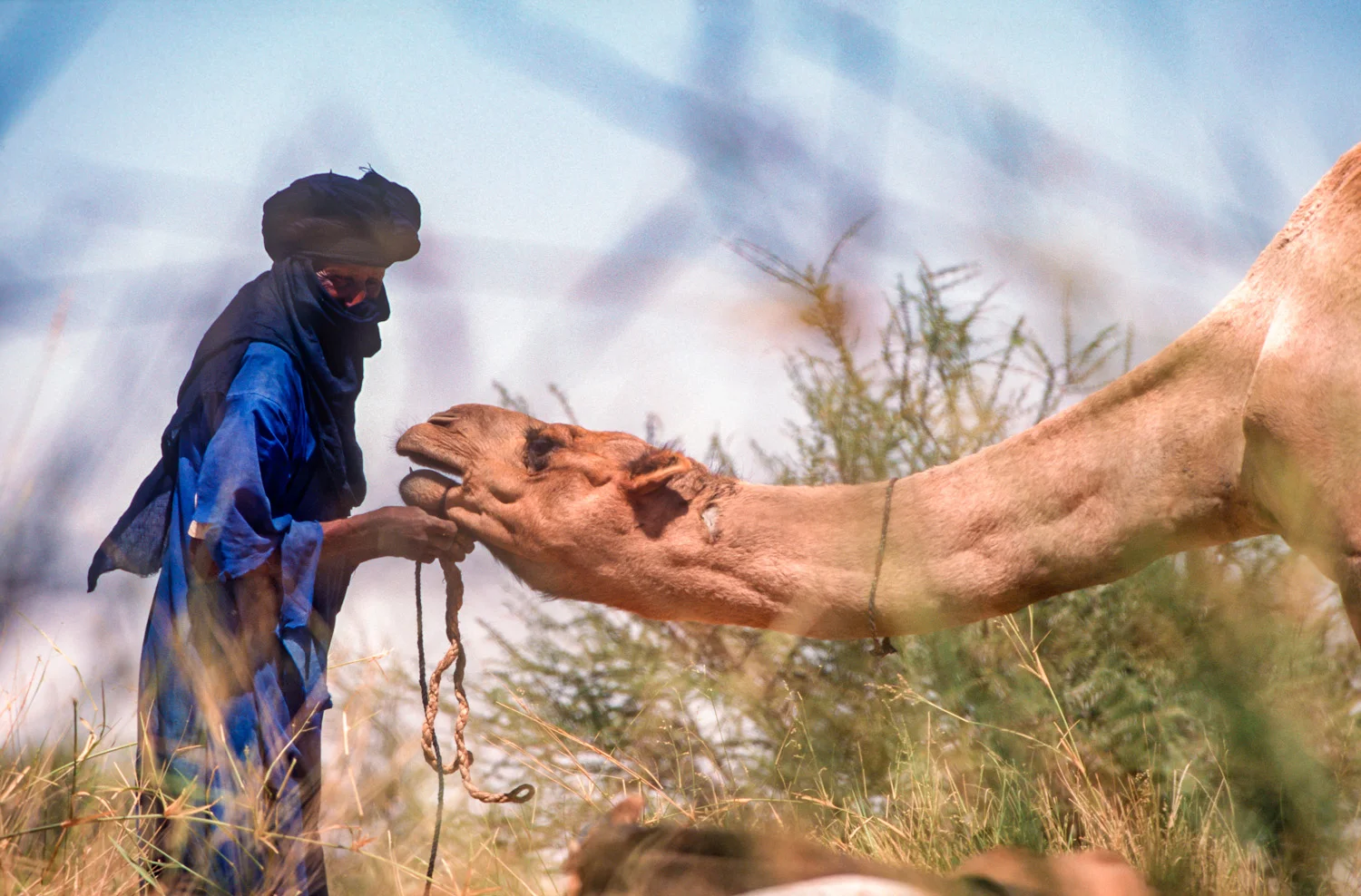 sqsp-Niger-13.jpg
