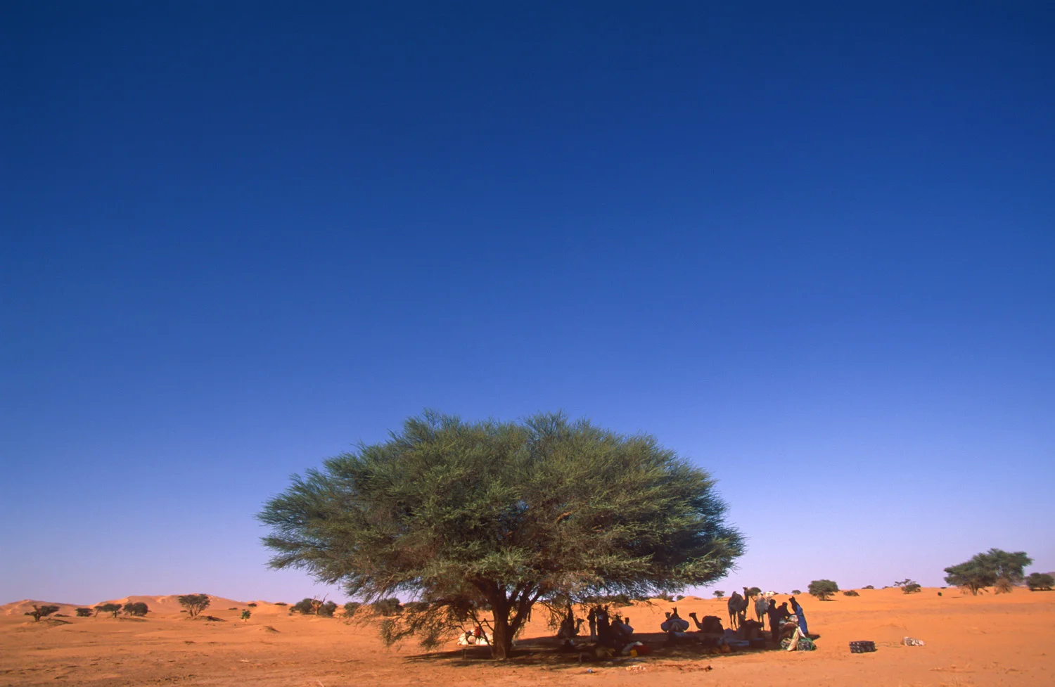 sqsp-Niger-14.jpg