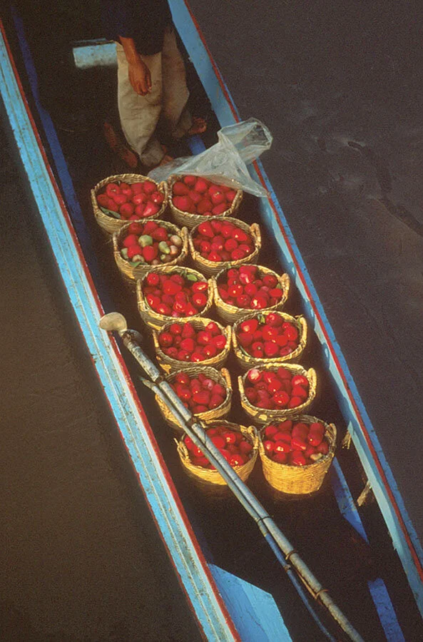   Floating Market, Cantho, Vietnam  