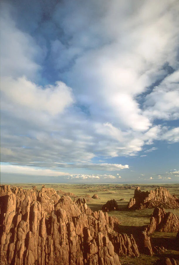   Dundgobi (Middle Gobi Desert), Outer Mongolia  
