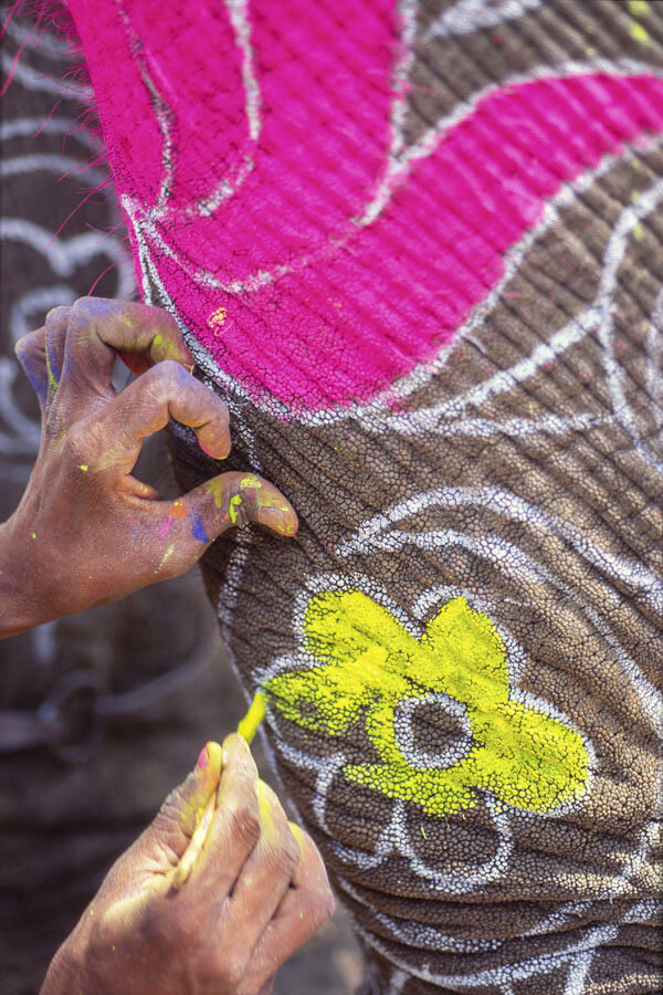   Holi Festival decoration, Jaipur, Rajasthan, India  