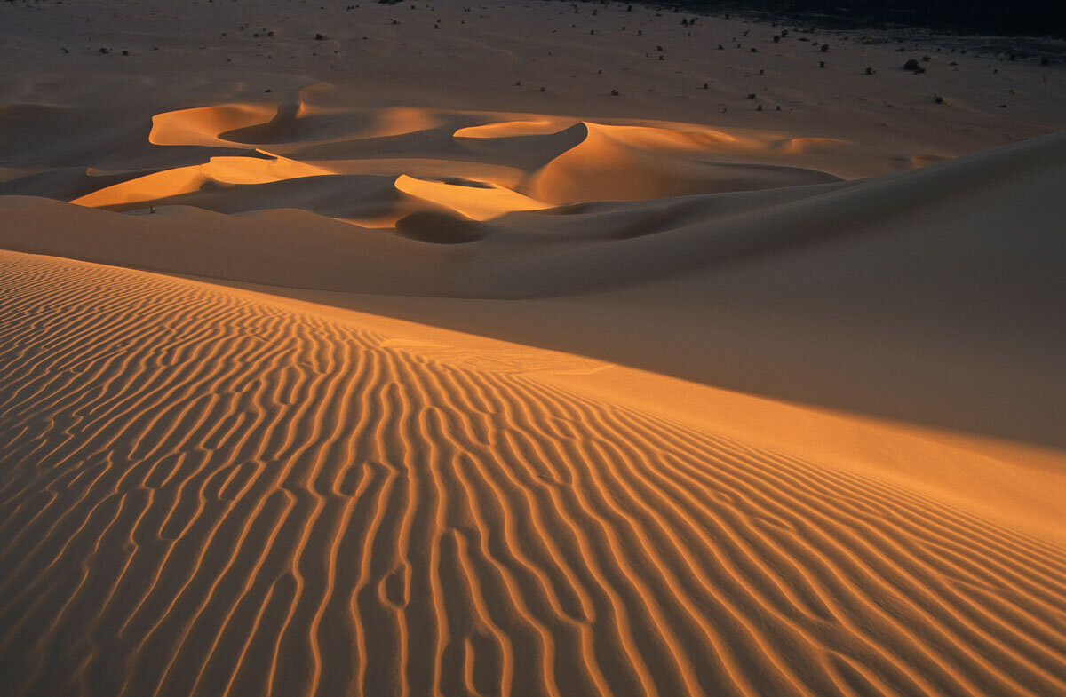  Arakao, Tenere Desert, Niger 