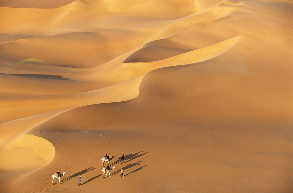  Camel Caravan, Tenere Desert, Niger 
