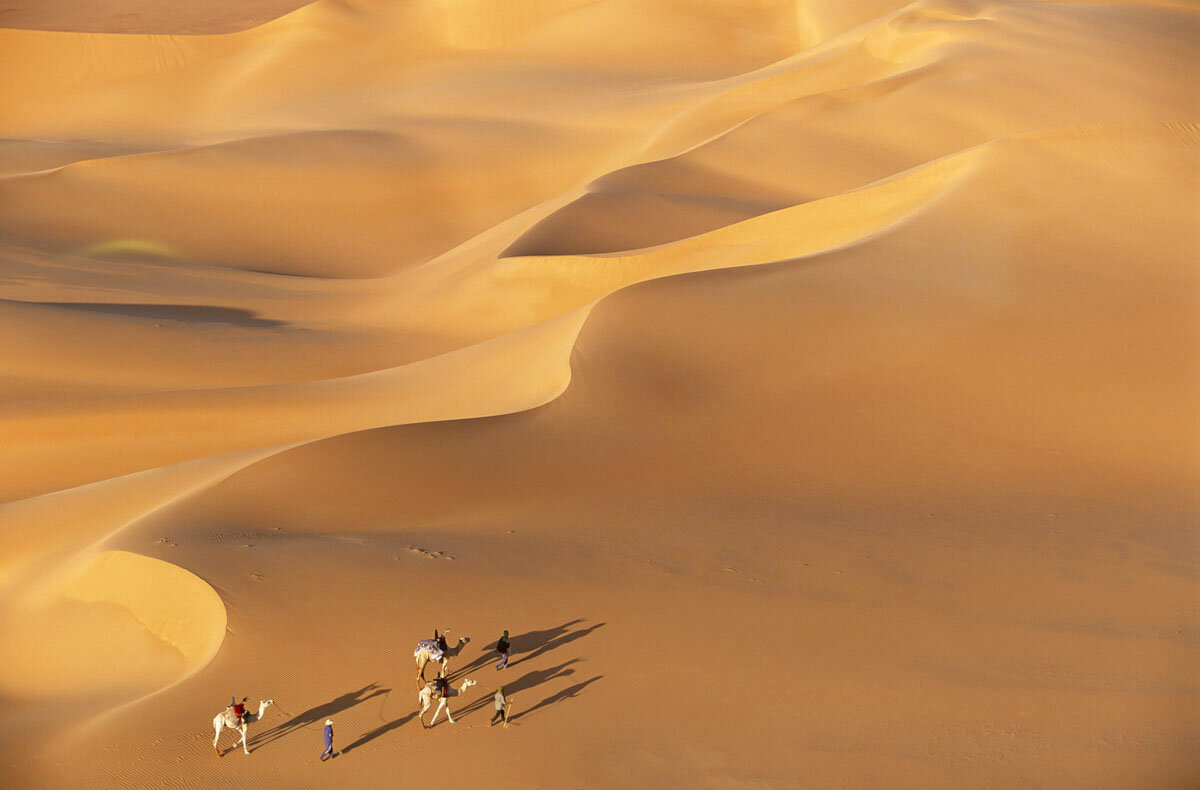  Camel Caravan, Tenere Desert, Niger 