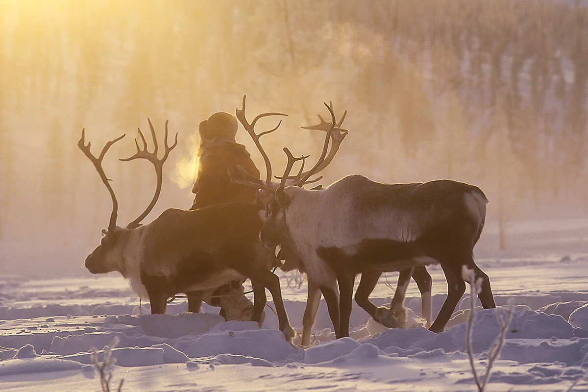  Chukchi Reindeer Herder, Kamchatka 