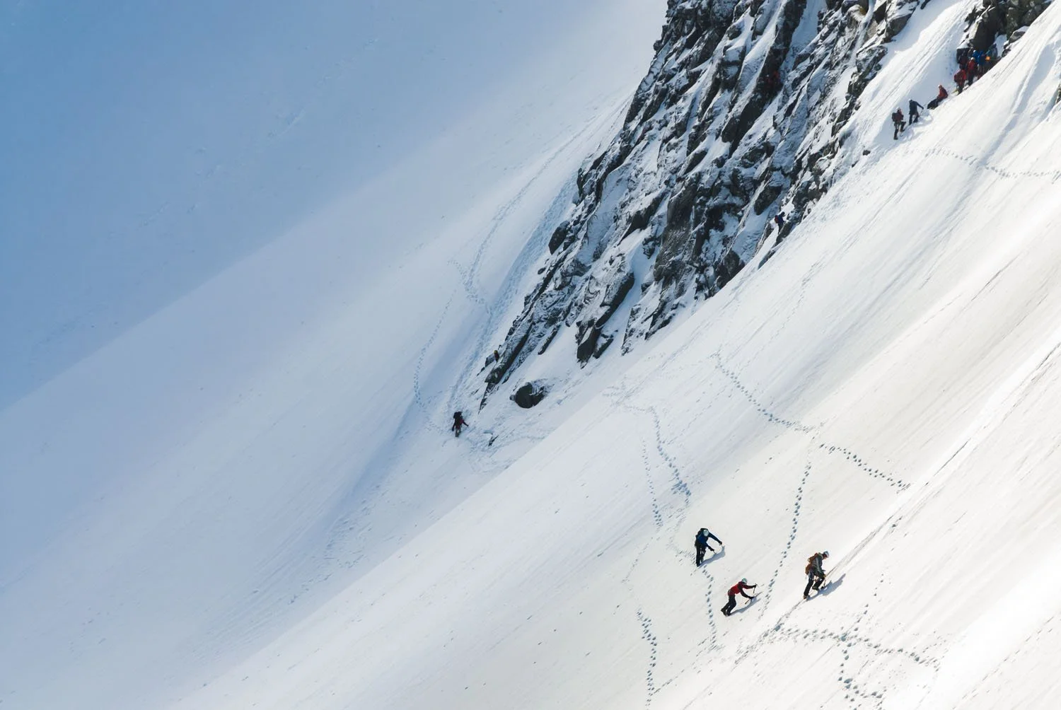 sqsp-adrenalin-4.jpg