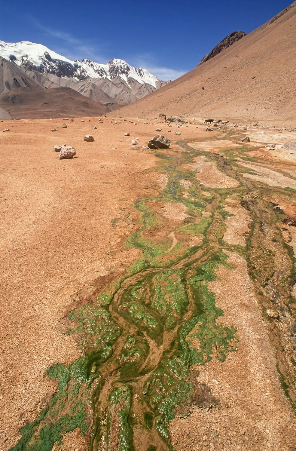 Old Trade route Caravanserai, Kalon Chumik