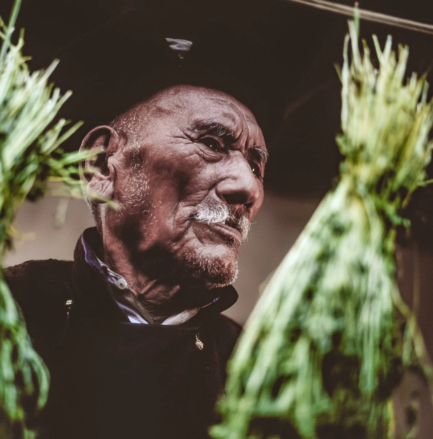 Trader, Leh