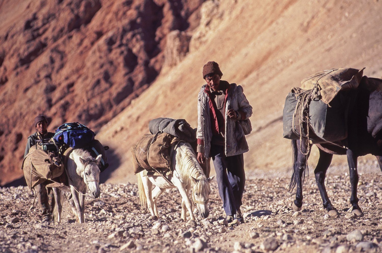 Trekking along the old trade route from Leh to Kashgar