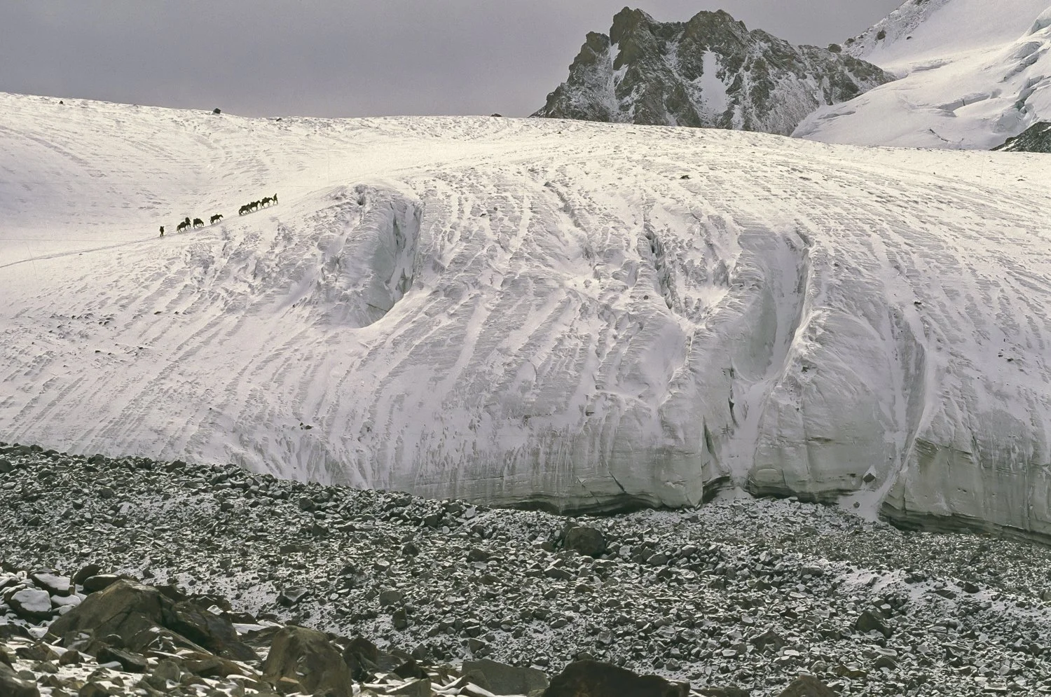 Caravan crossing the Saser La Pass