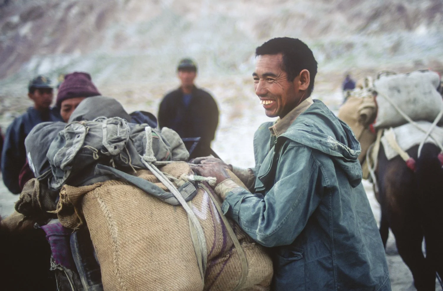 Horseman prepares burros for the Expedition