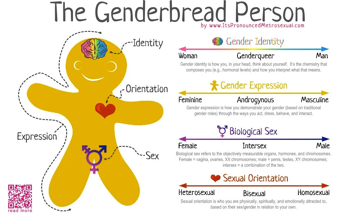 The Genderbread Person explains the differences between Sex, Gender Identity, Gender Expression and Sexual Orientation.