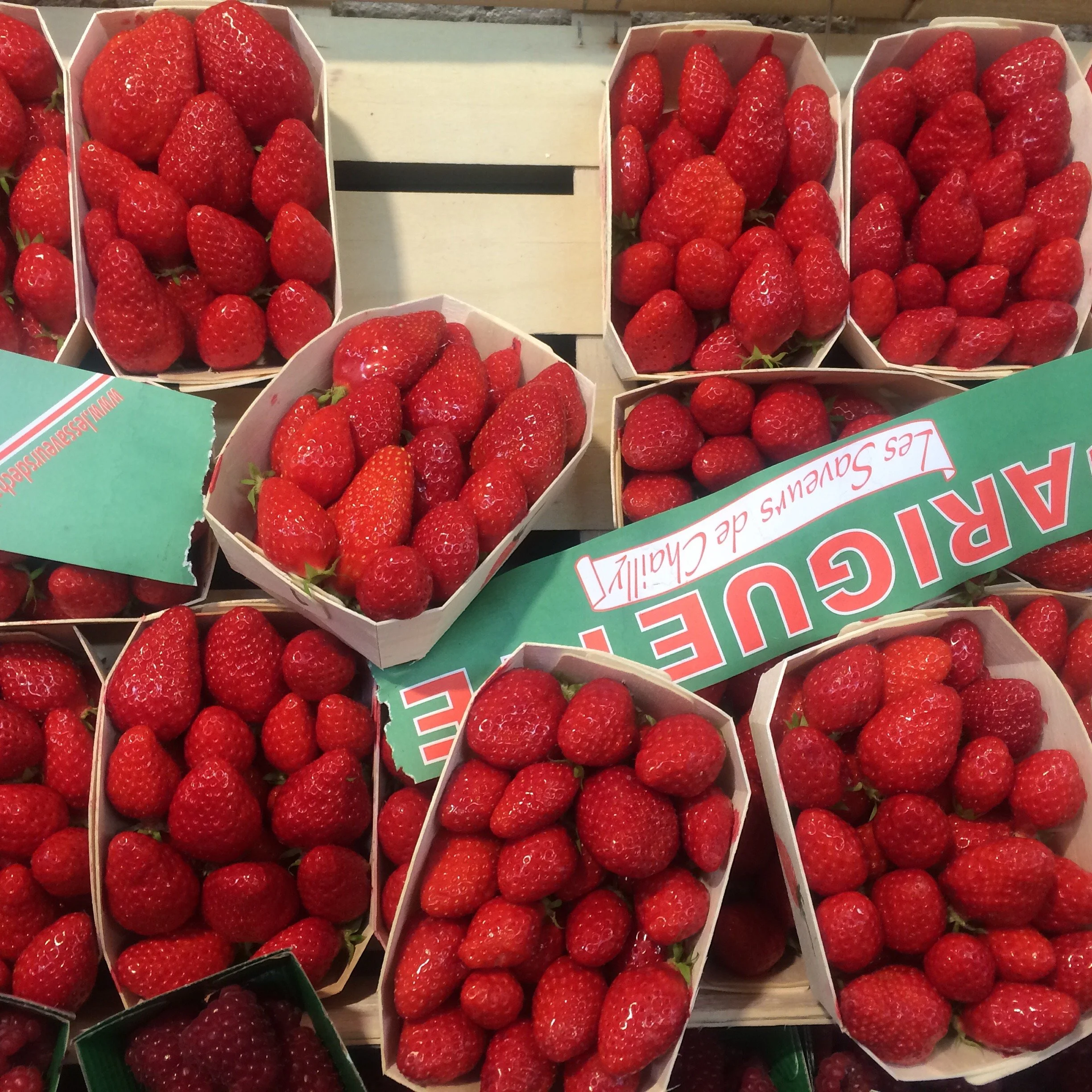 how to speak french.JPG