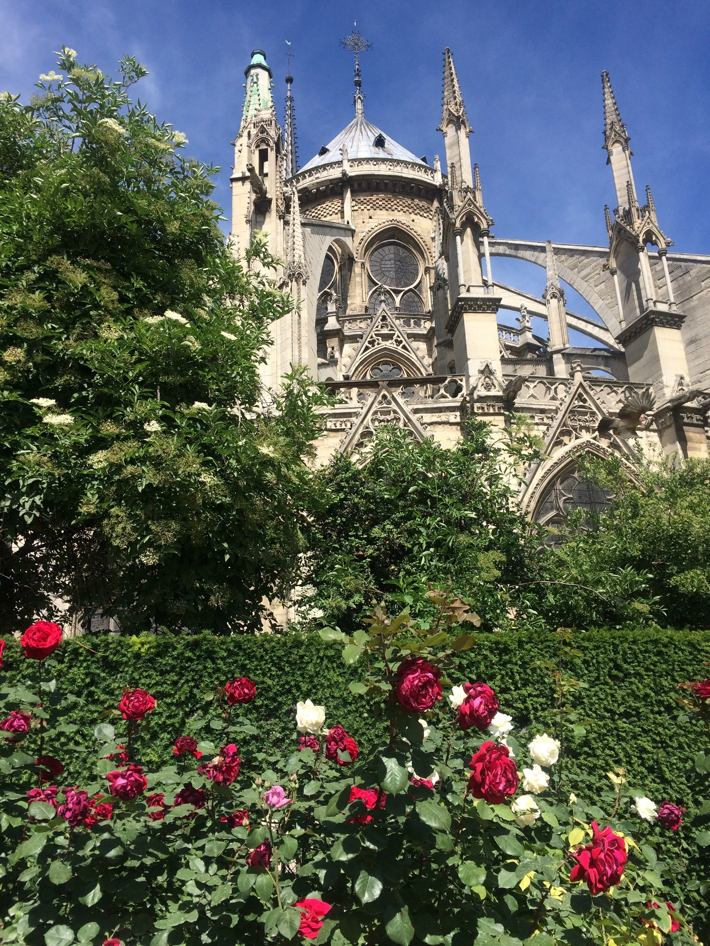 improve my french.JPG