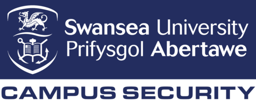 Swansea-security.png