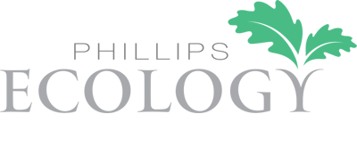 Phillips-Ecology_Col-2.png