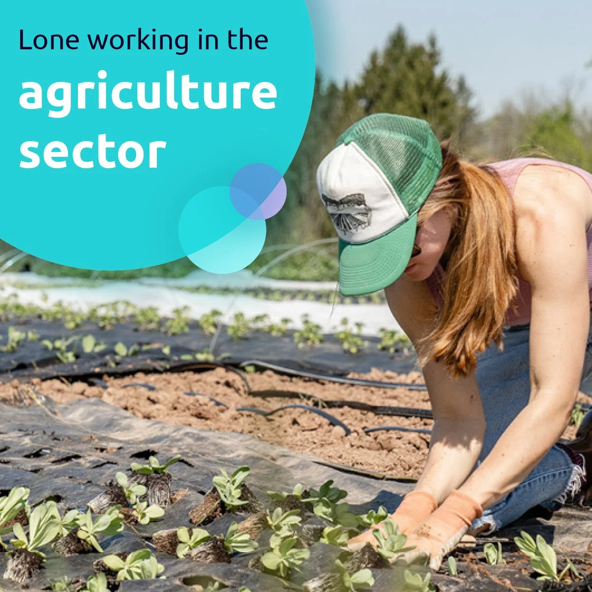 Lone working in agriculture