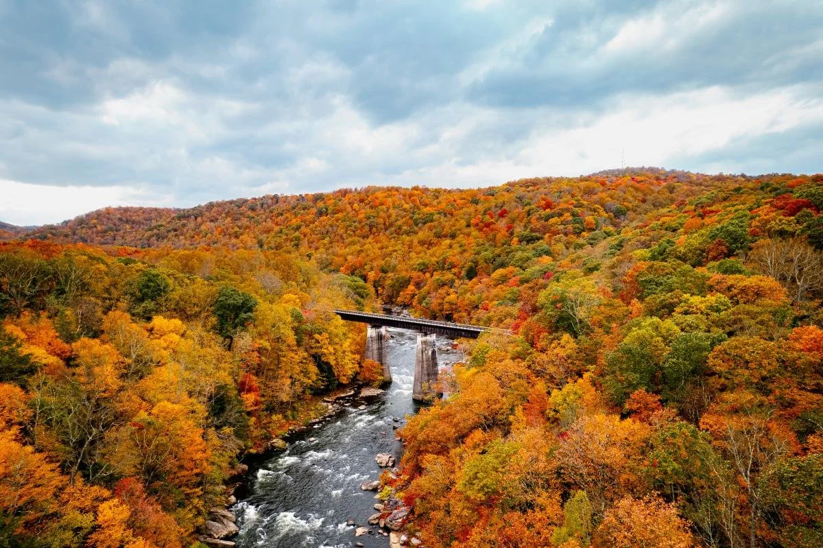 Hike the Laurel Highlands