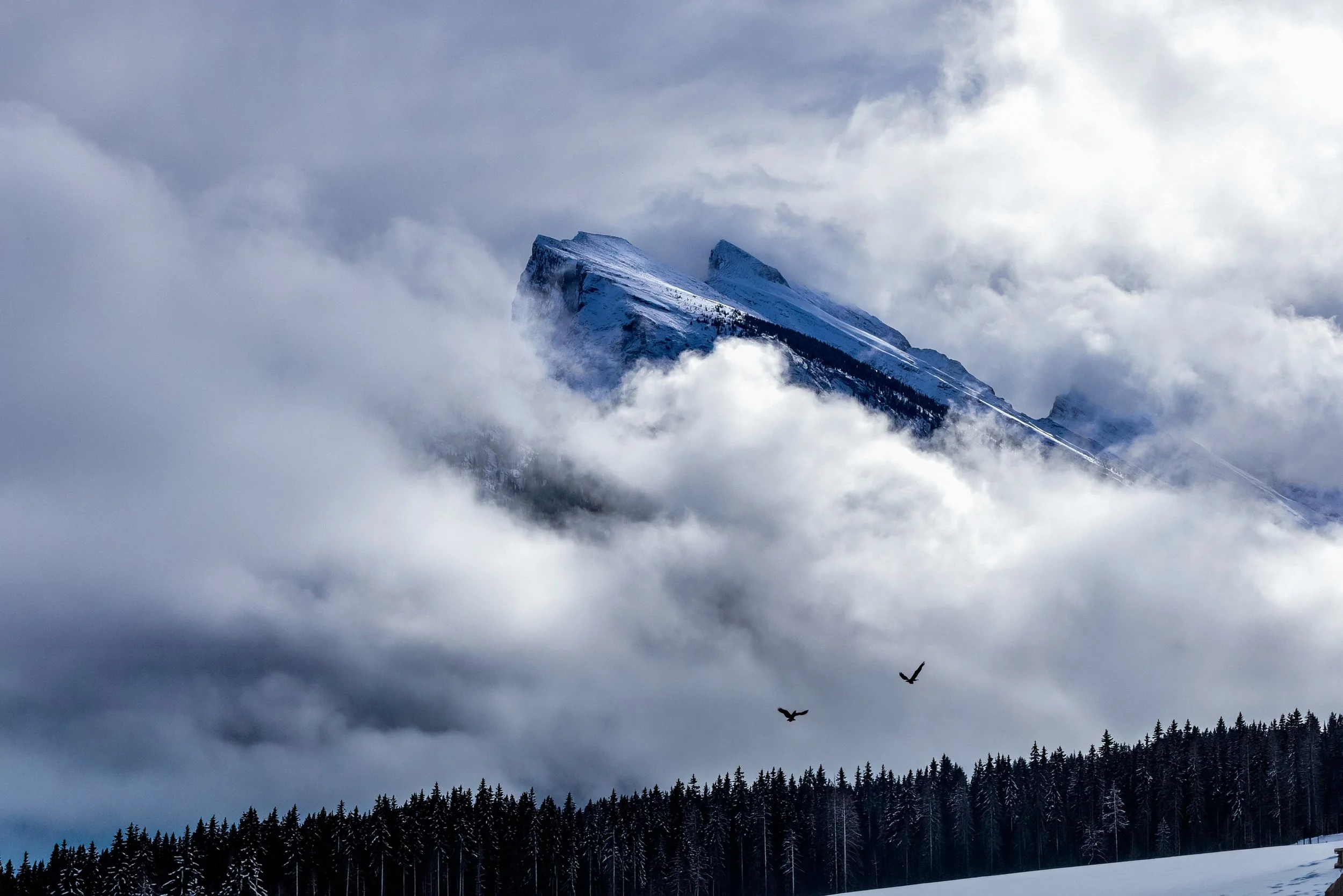 Banff Photos (12 of 32).jpg