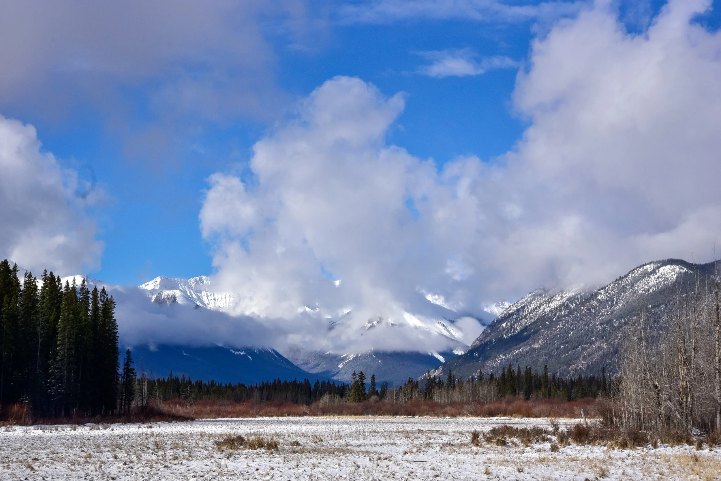 Banff Photos (16 of 32).jpg