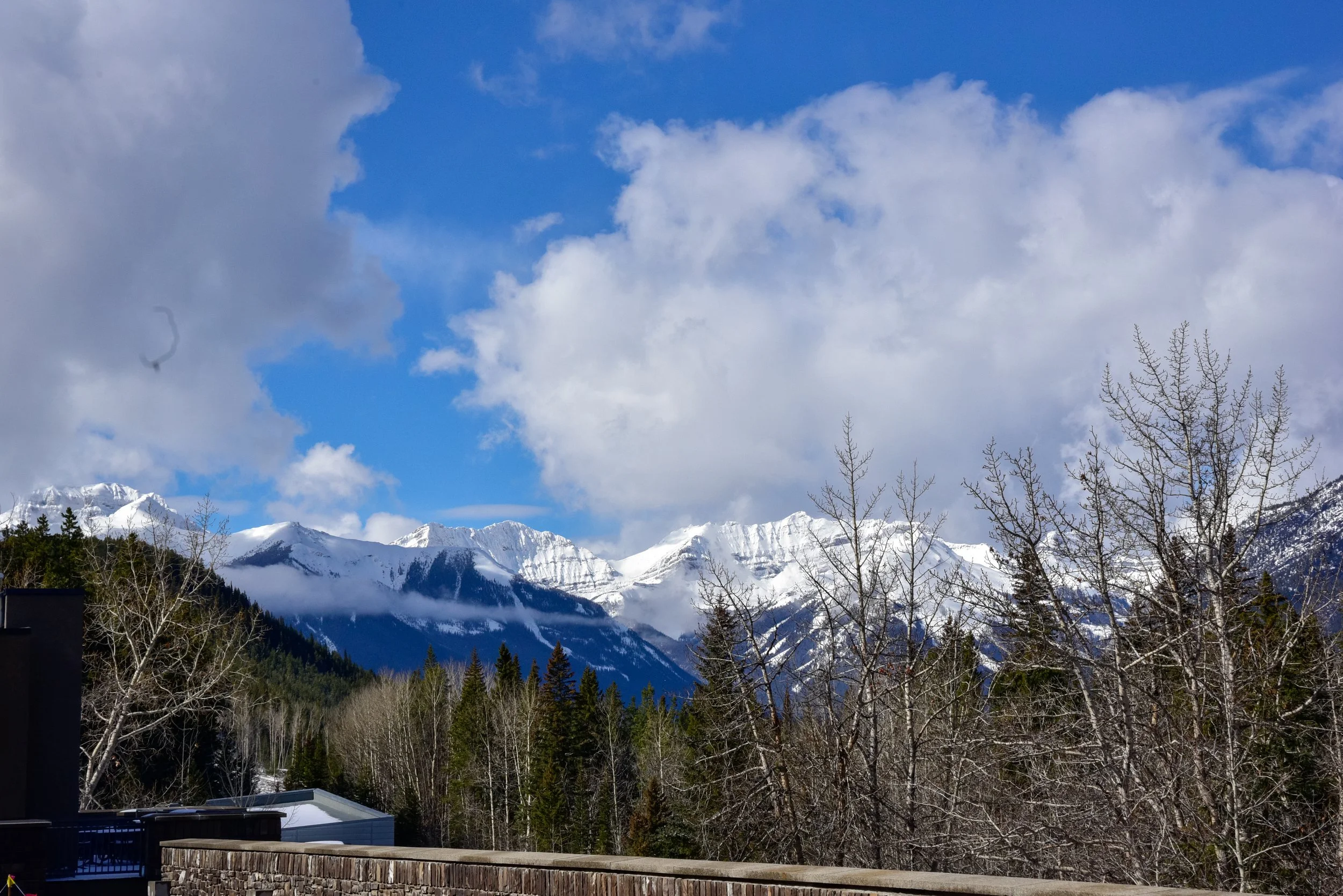 Banff Photos (24 of 32).jpg
