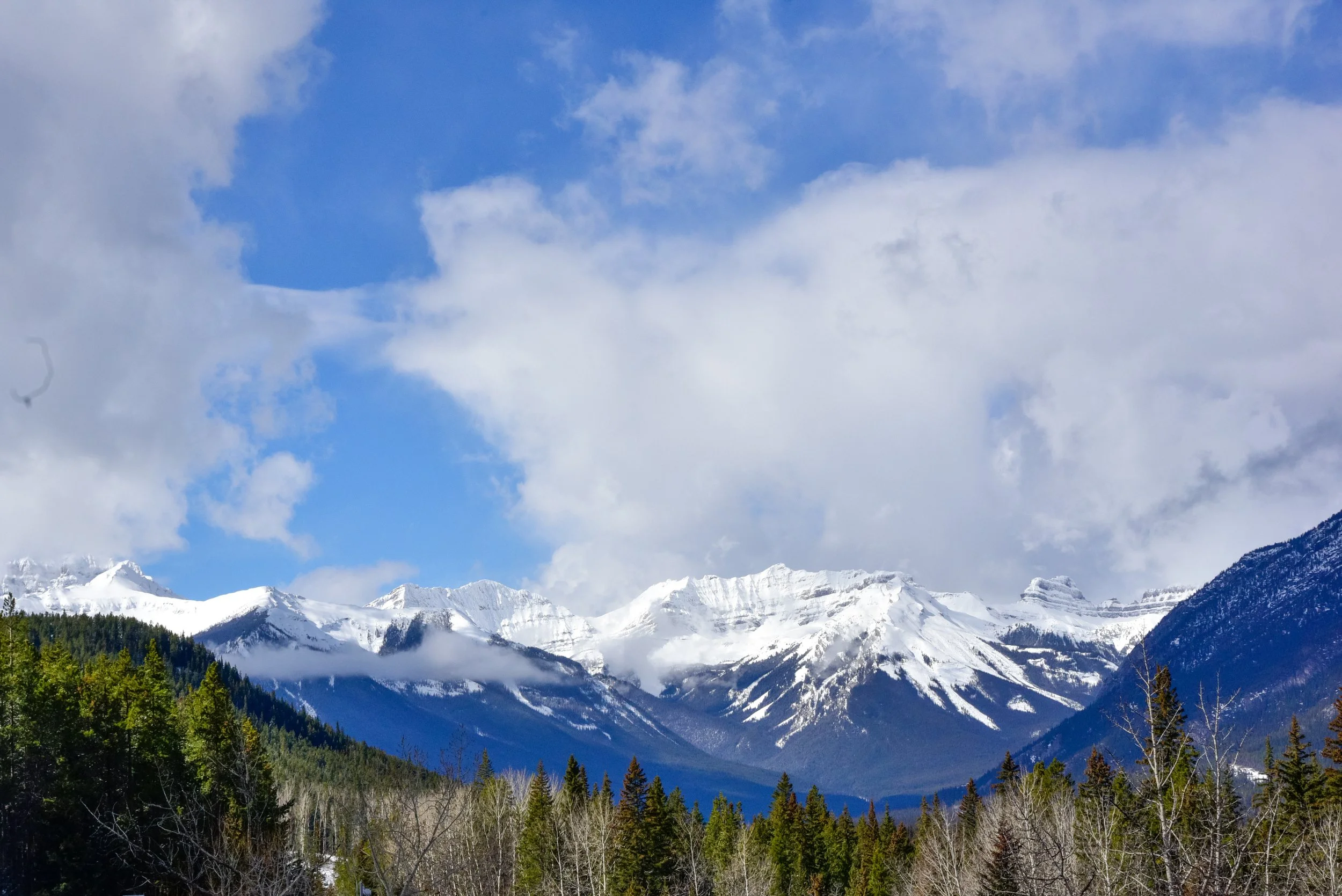 Banff Photos (25 of 32).jpg