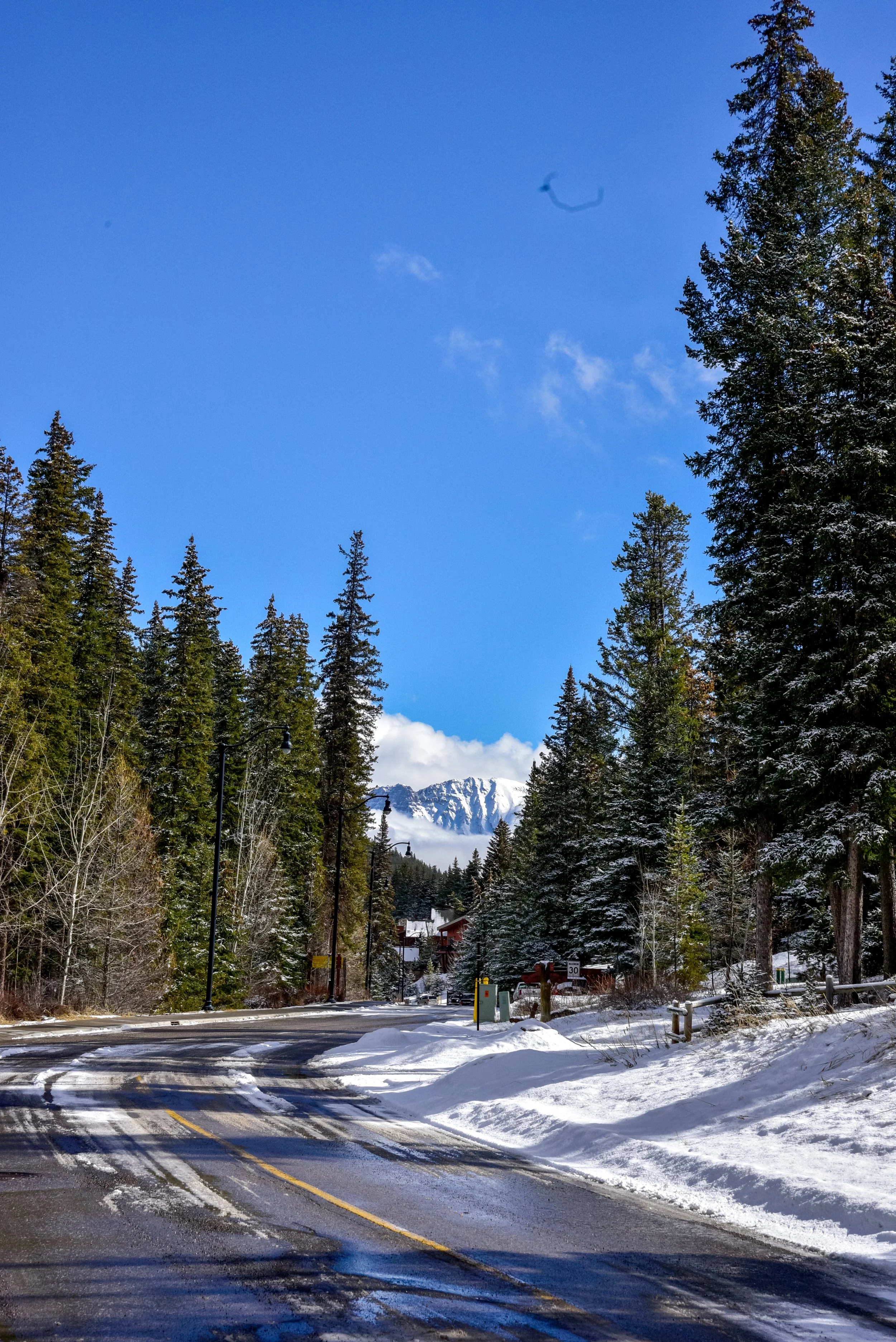 Banff Photos (26 of 32).jpg