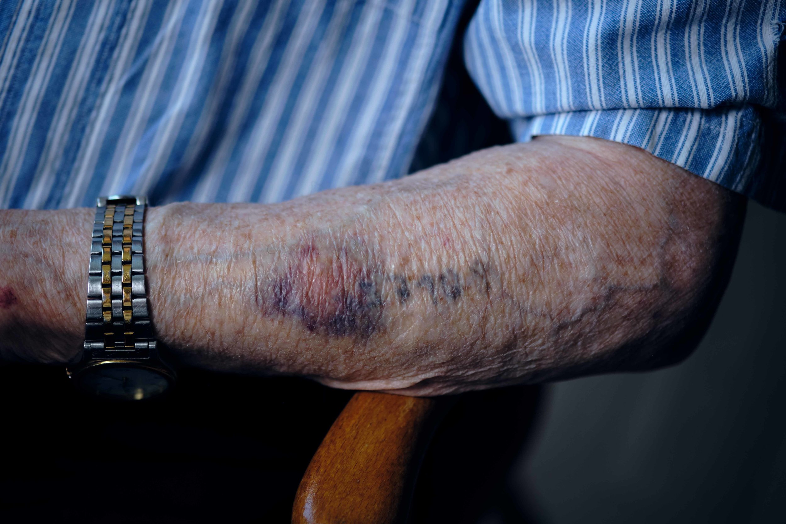 JM_Survivors01015.jpg