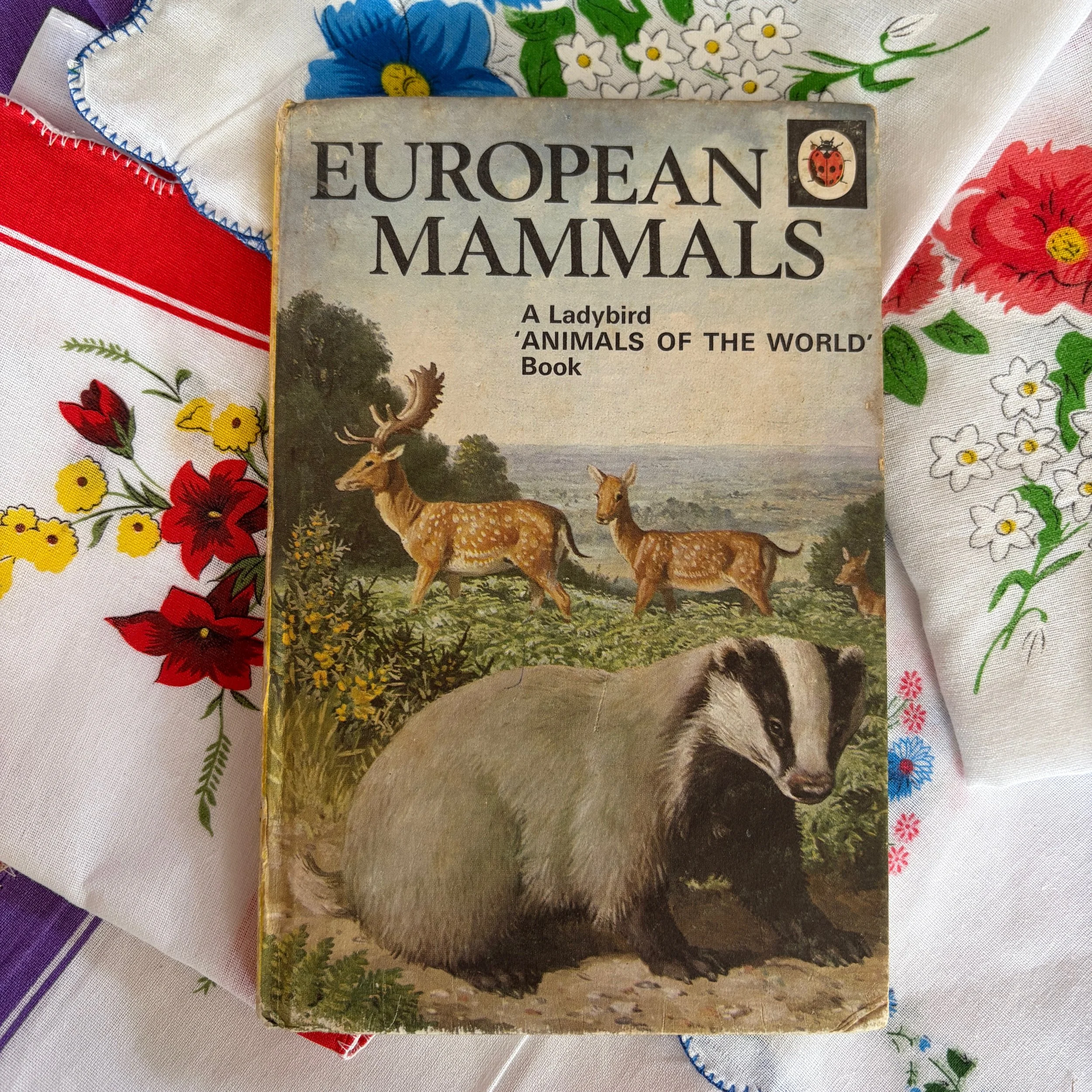 European Mammals Ladybird Book