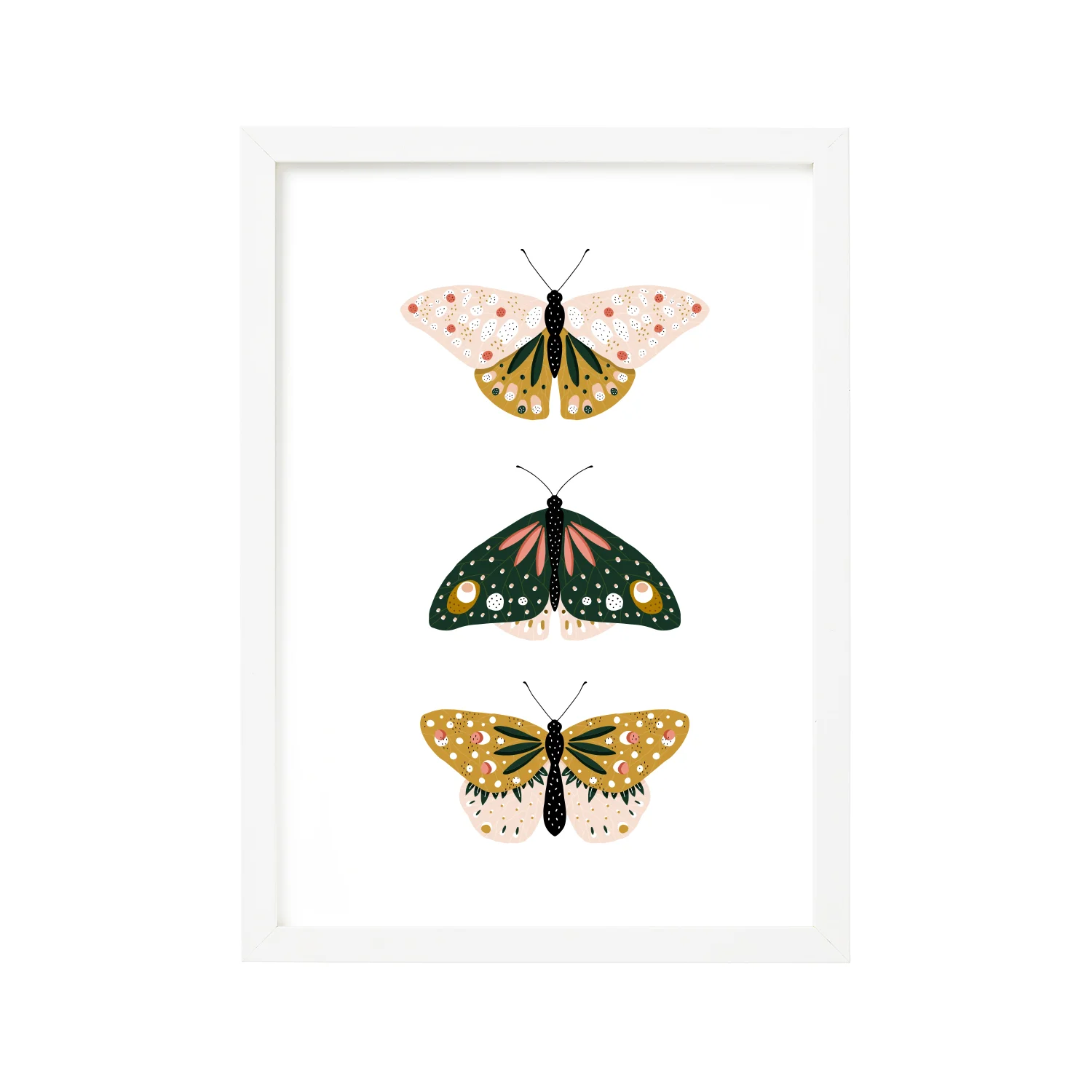 Butterfly Classification