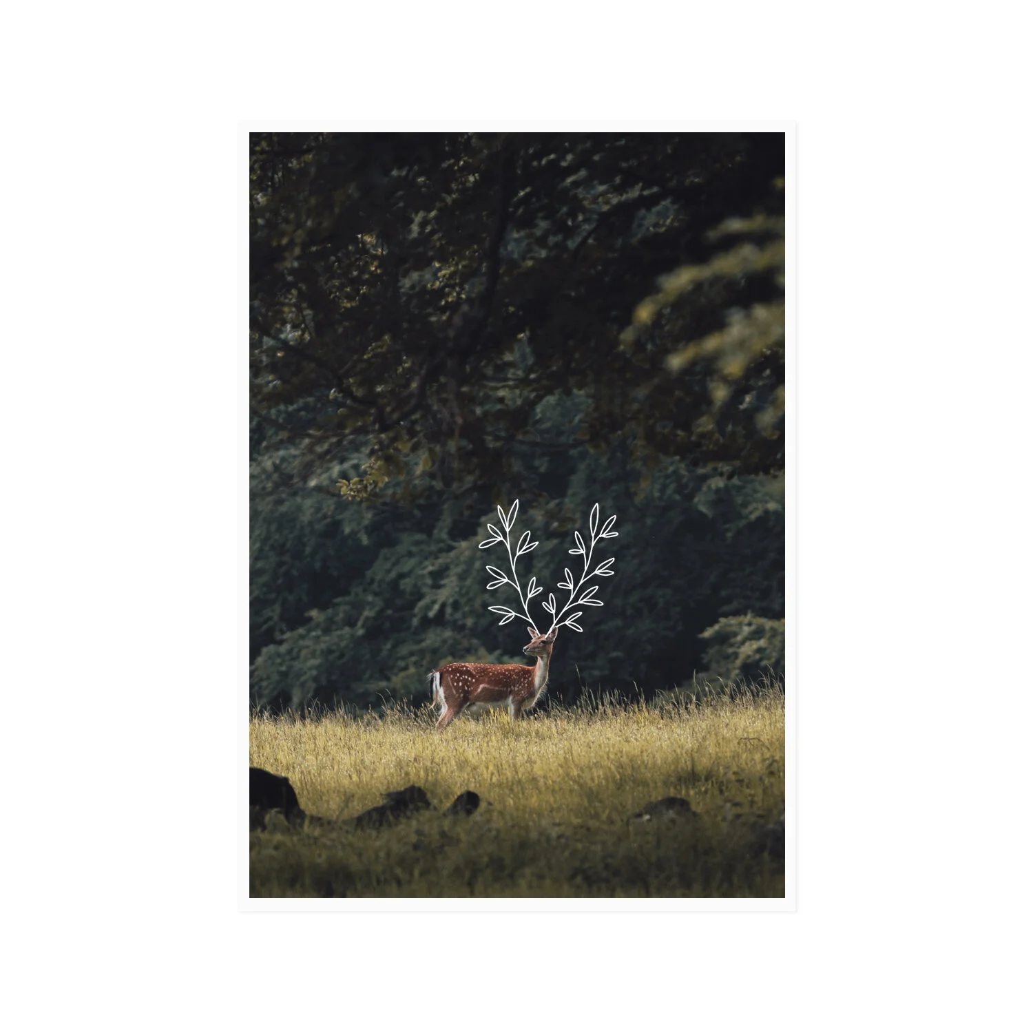 Antlers