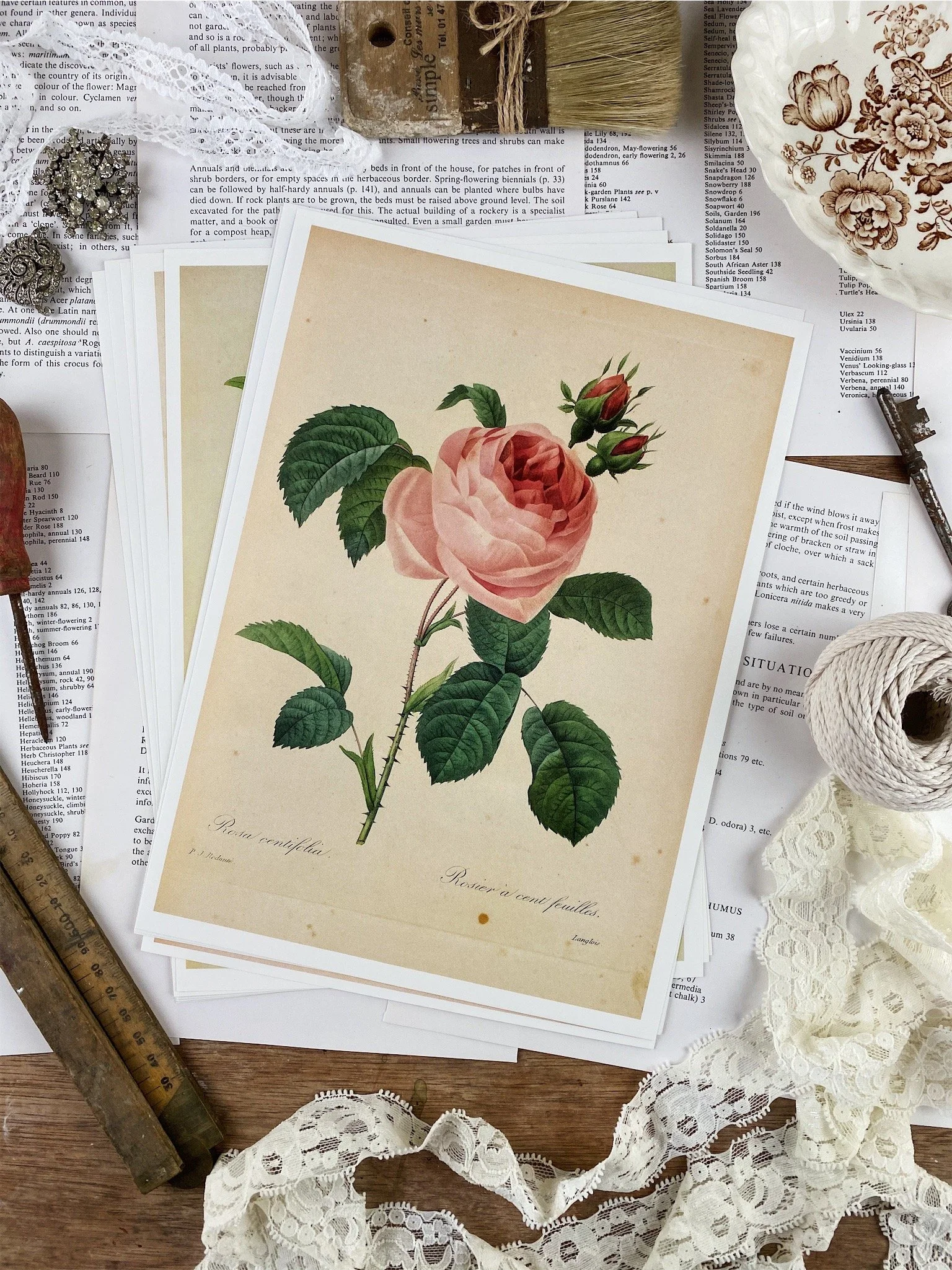 Vintage Rose Book Plate