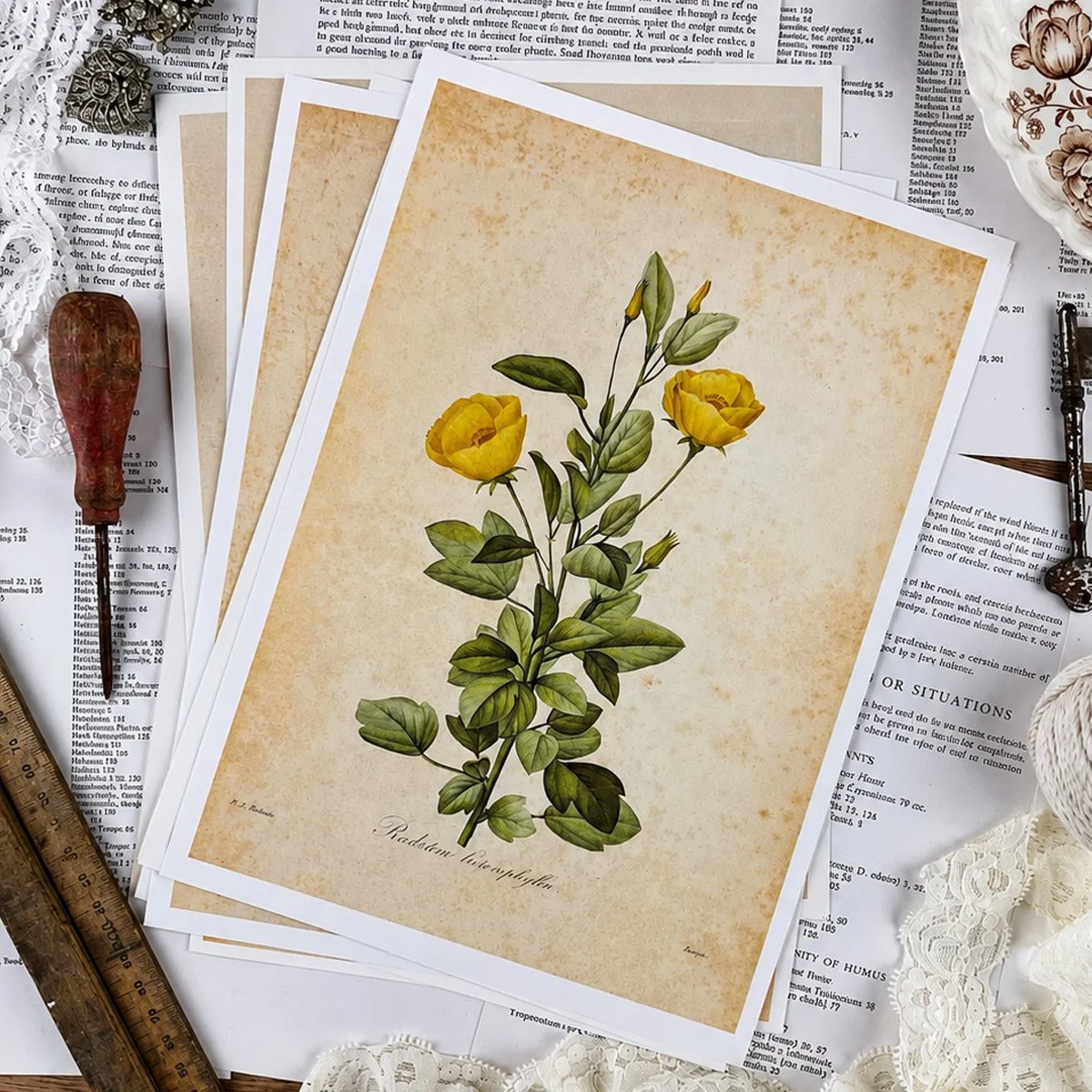 Vintage Botanical Book Page